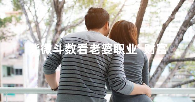 紫微斗数看老婆职业  财富